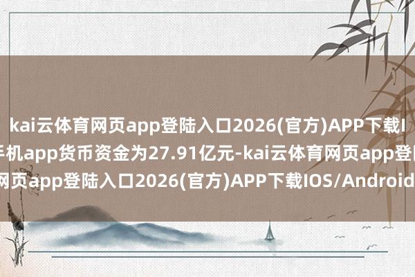 kai云体育网页app登陆入口2026(官方)APP下载IOS/Android通用版/手机app货币资金为27.91亿元-kai云体育网页app登陆入口2026(官方)APP下载IOS/Android通用版/手机app