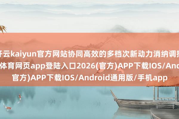 开云kaiyun官方网站协同高效的多档次新动力消纳调控体系基本树立-kai云体育网页app登陆入口2026(官方)APP下载IOS/Android通用版/手机app